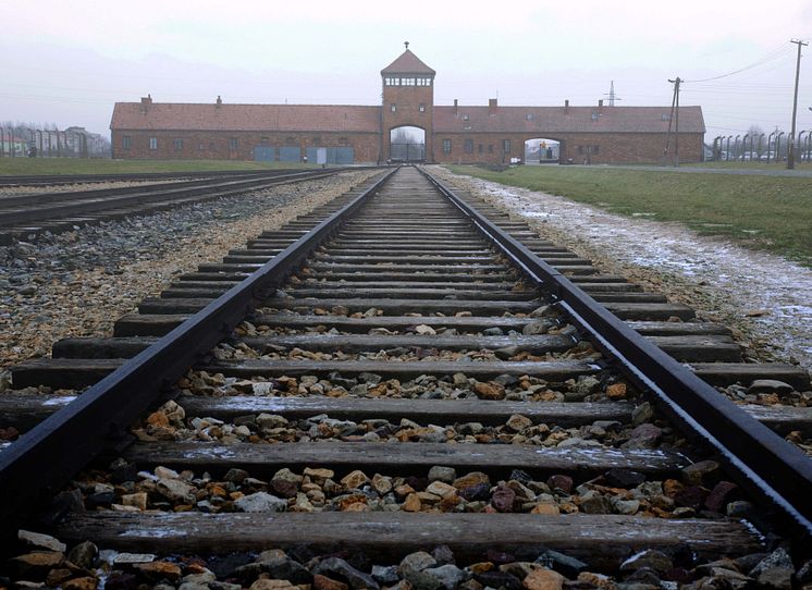  AUSCHWITZ: THE NAZIS AND THE FINAL SOLUTION_The HISTORY Channel
