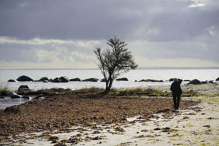 Stranden i Åhus november 2023