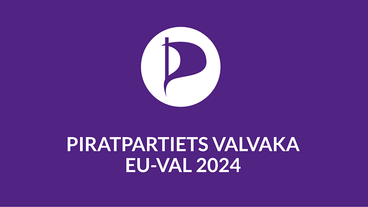 Piratpartiets valvaka, EU-val 2024