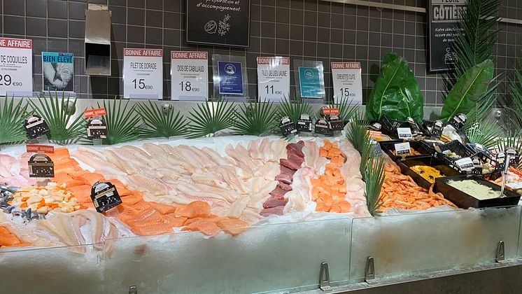 Fresh fish counter