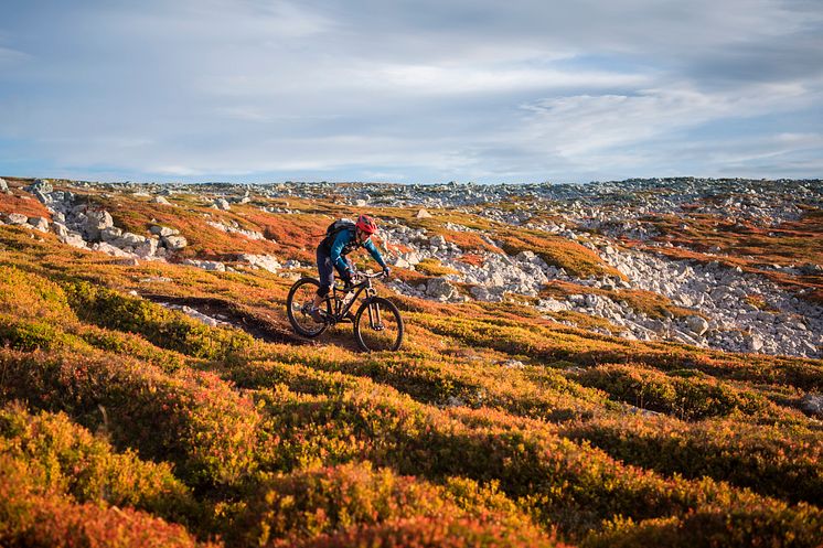 Sykling i høstfjellet