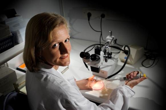 Malin Flodström-Tullberg, docent vid Karolinska Institutet