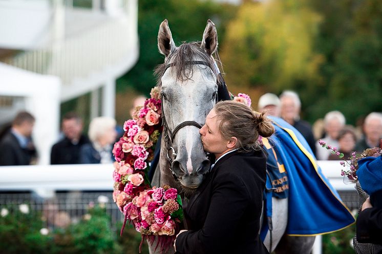 Thundering Blue efter segern i 2018 års Stockholm Cup