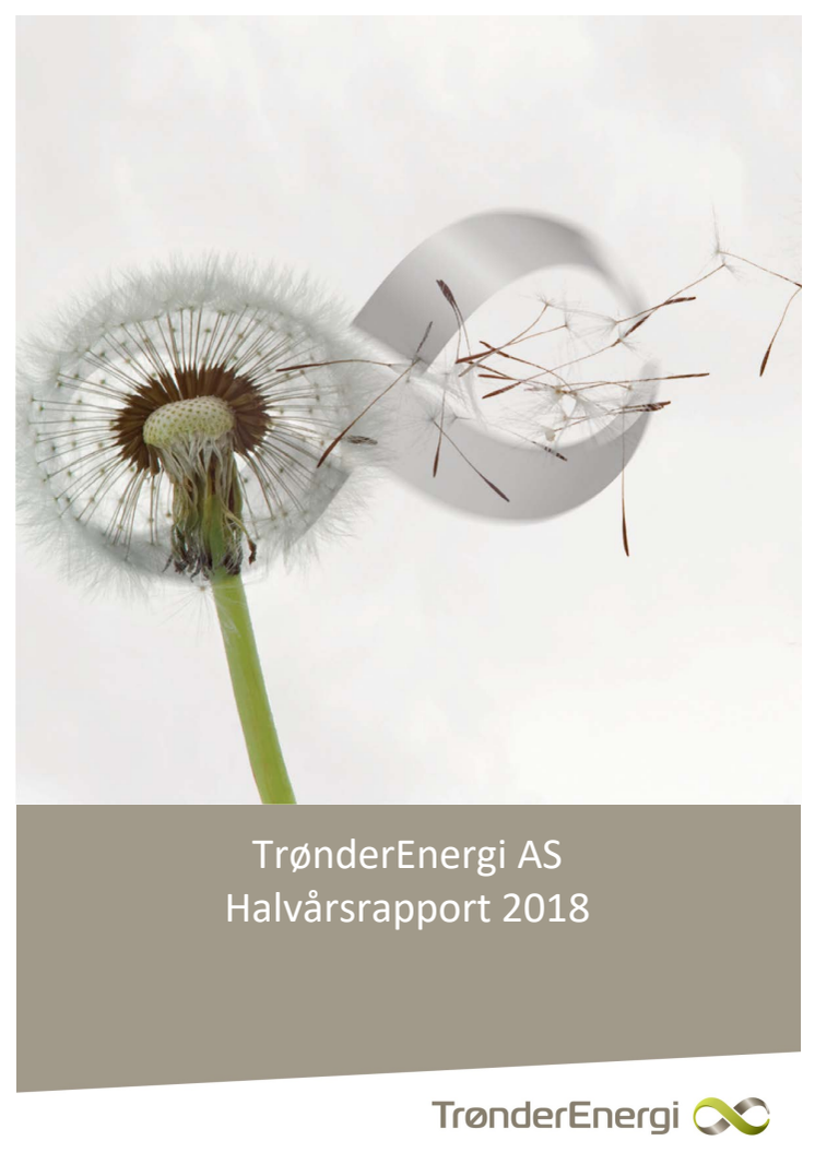 Halvårsrapport 2018