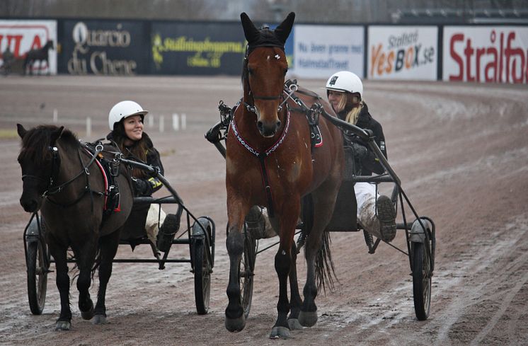 Halmstad travskola1