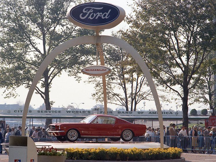 55 Mustang Birthday