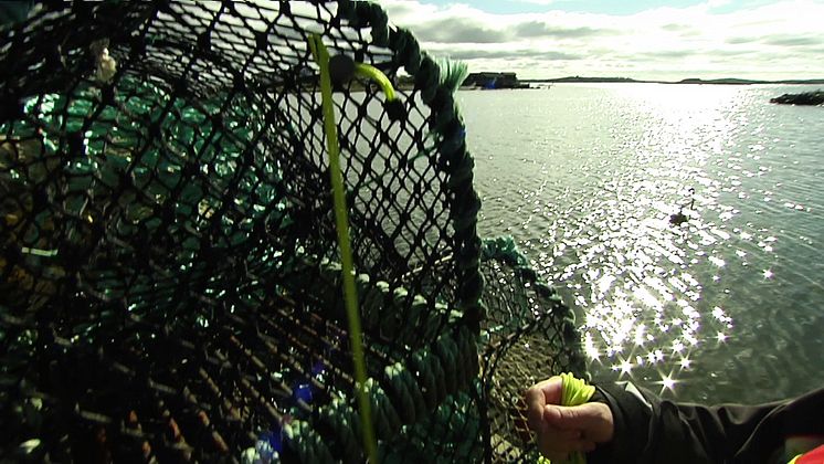 Sjöräddningssällskapet inför hummerfiskepremiären 2015_ny