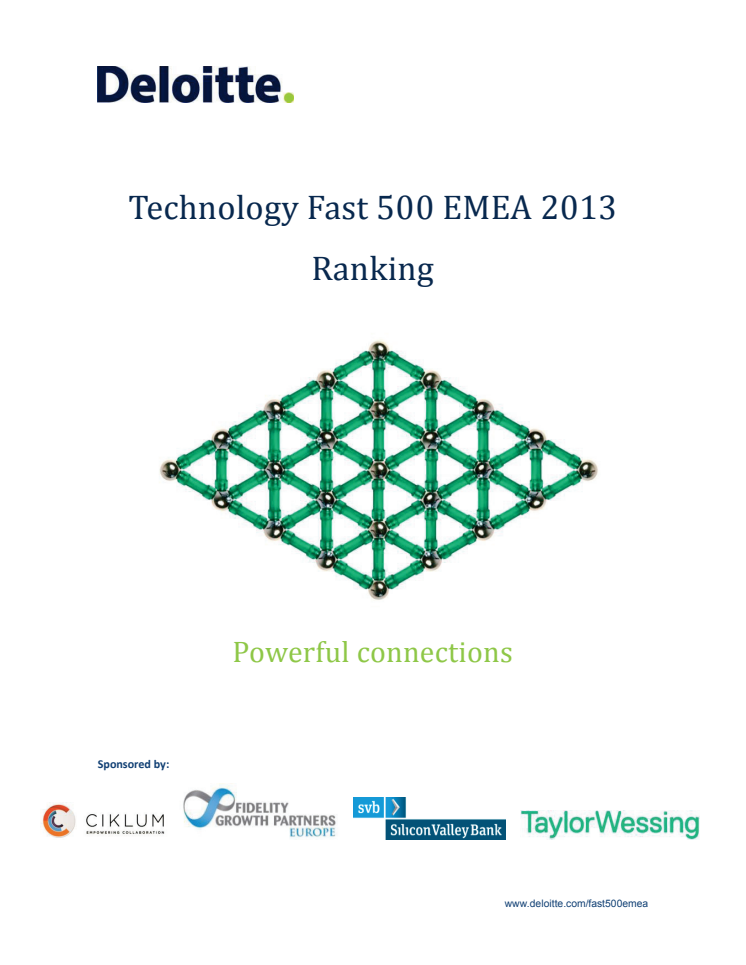 Technology Fast 500 EMEA 2013 Ranking