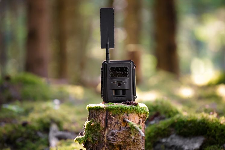 Burrel Trail Camera