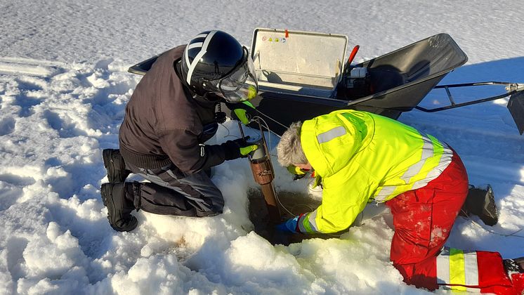 sedimentprøvetaking_Firkantvann_NILU