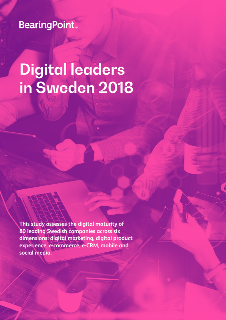 Digital leaders in Sweden 2018