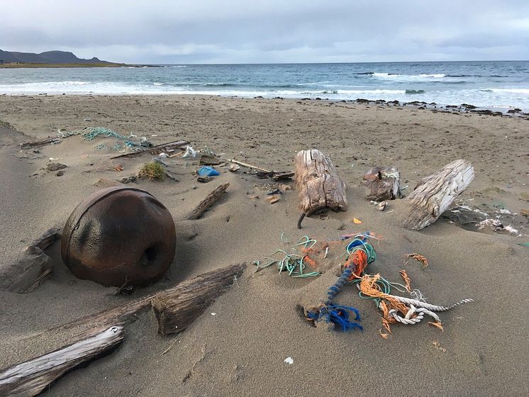 Strandsøppel/Marine litter