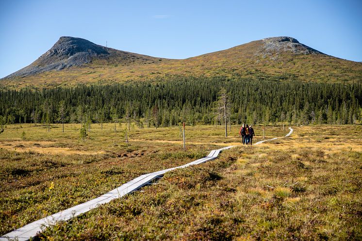 Vandring Glötdalsvallen Lofsdalen