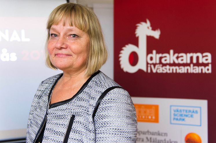 Delfinalvinnare i "Drakarna i Västmanland 2013" - Västerås 20nov