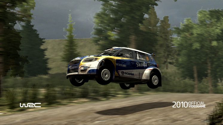 WRC the Game