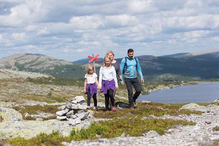 Vemdalen sommar