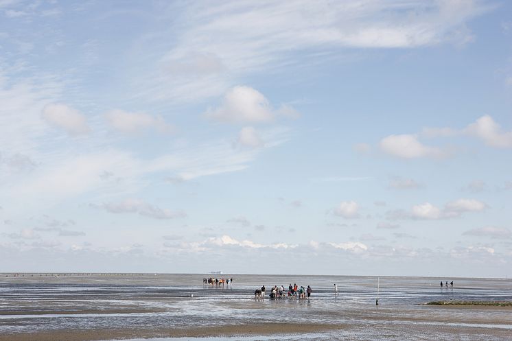 Vintervandring ved Vadehavet