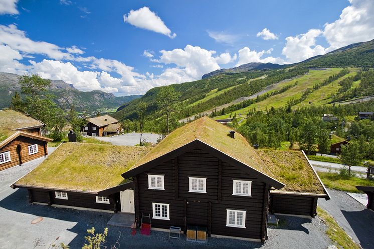 Sommer på storhytte i Hemsedal