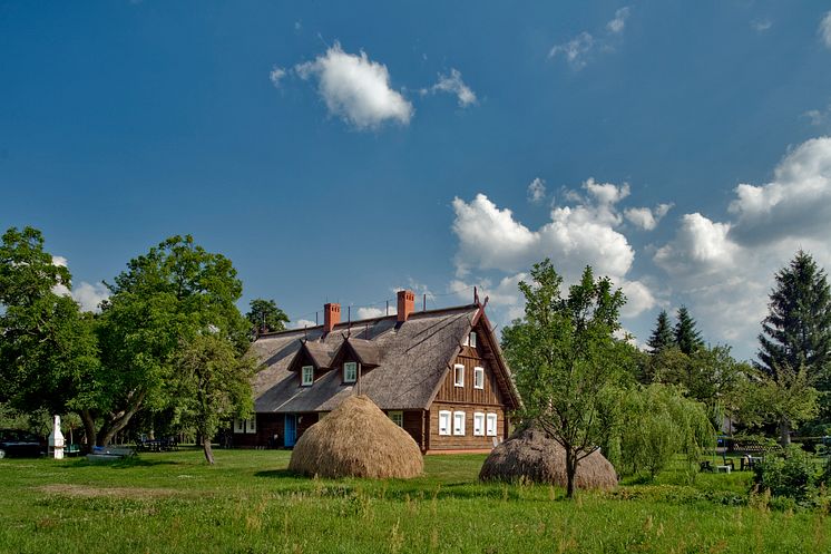 Burg im Spreewald