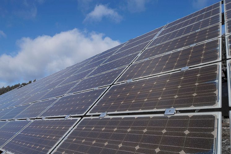 Foto: Rekord durch Photovoltaik: Noch nie haben Anlagen mehr Erneuerbare Energie in das Netz der Bayernwerk AG eingespeist als am vergangenen Sonntag.