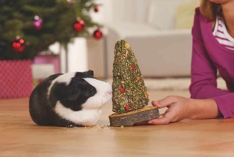 Tierfreundlich schenken zu Weihnachten