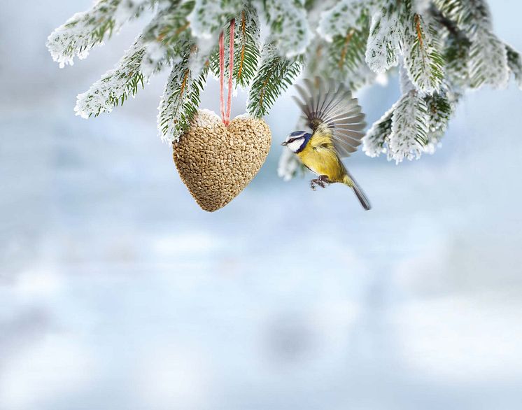 wildbird_food-heart_CSR_winter_cmyk_300dpi