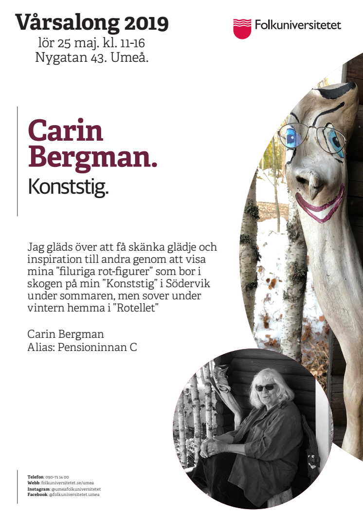 Presentation Carin Bergman