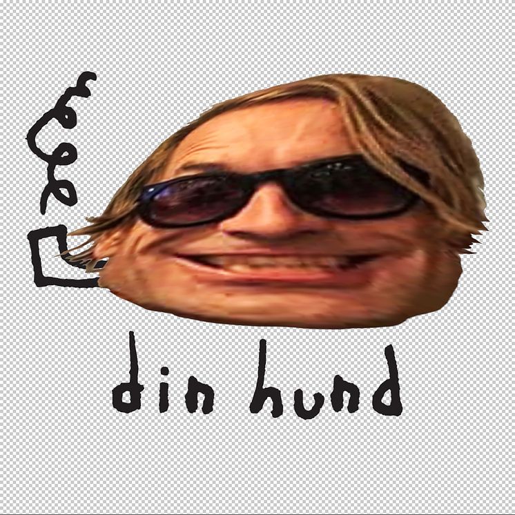 bh_dinhund_omslag