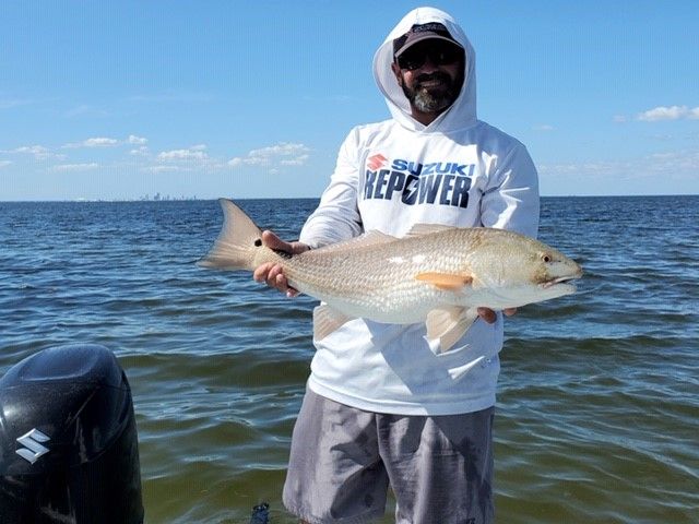 Image - Mastry Engine Center - Captain Travis Yaeckel, of the Ruskin-based Instinct Fishing Company, during the full day of inshore fishing on Tampa Bay with prize winner Mathew Cobb