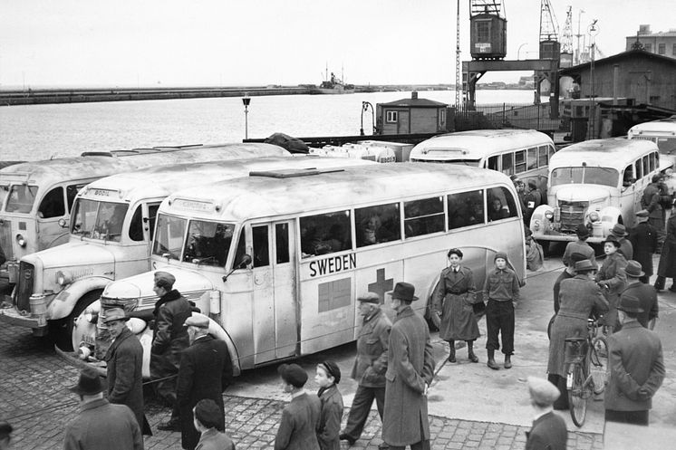 Vita bussarna tryck