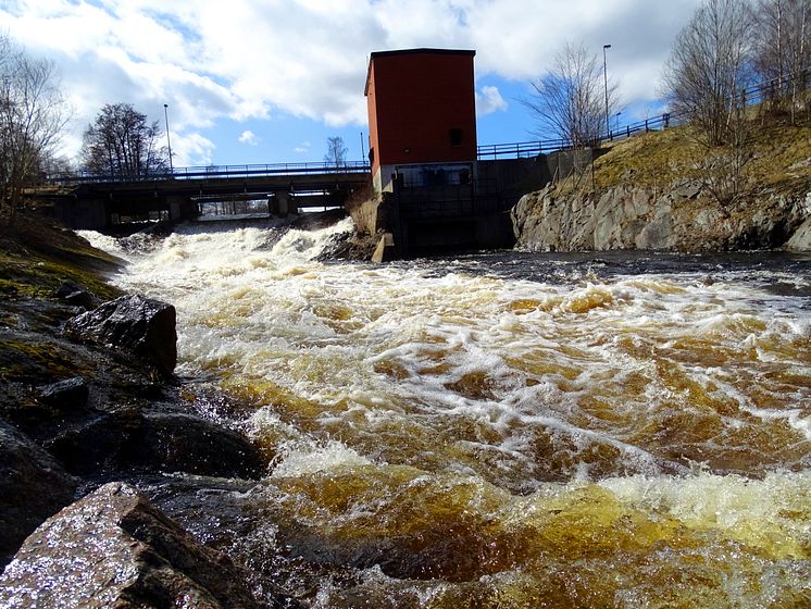 Vårfloden 2018