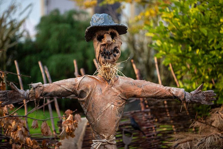 Halloween_181120_scarecrow_1