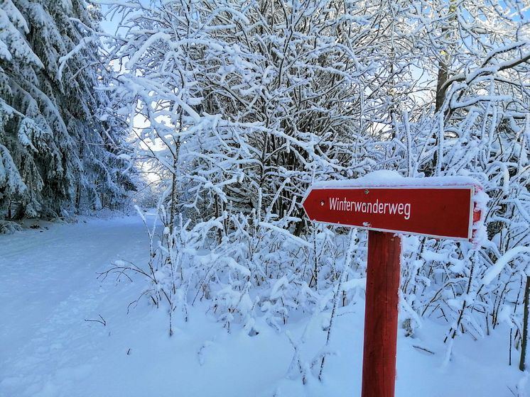 Winterwanderweg Schellerhau_Foto Touristinformation Altenberg.jpg