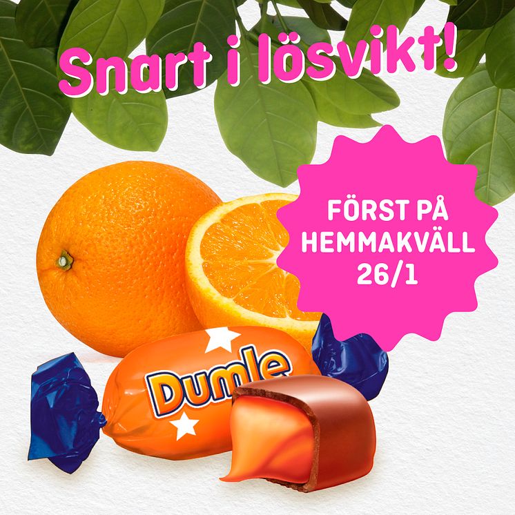 Dumle Orange - Först på Hemmakväll i lösvikten