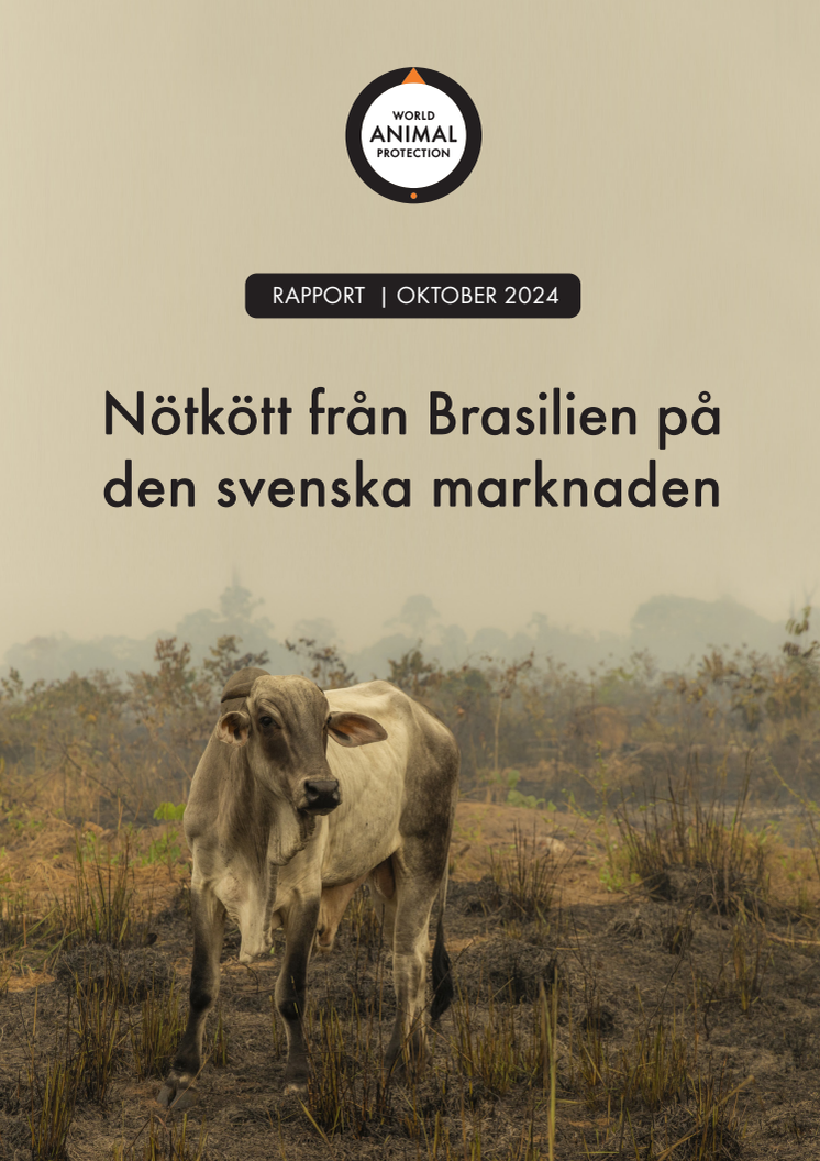 Rapport: Nötkött från Brasilien i Sverige