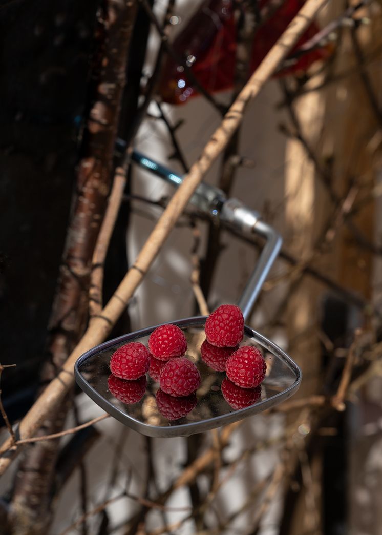 Laure Prouvost, Cat Mirror Eat Rasberries, 2013