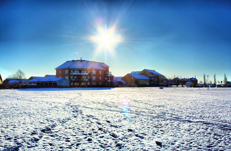 Vinter i Skåne