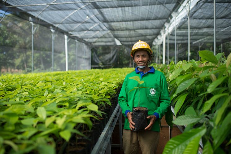 Cocoa Life_farming_Indonesia_07