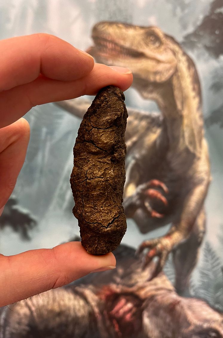 Coprolite_Late_Triassic_Poland.jpg