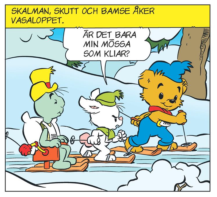 Bamse Vasaloppet