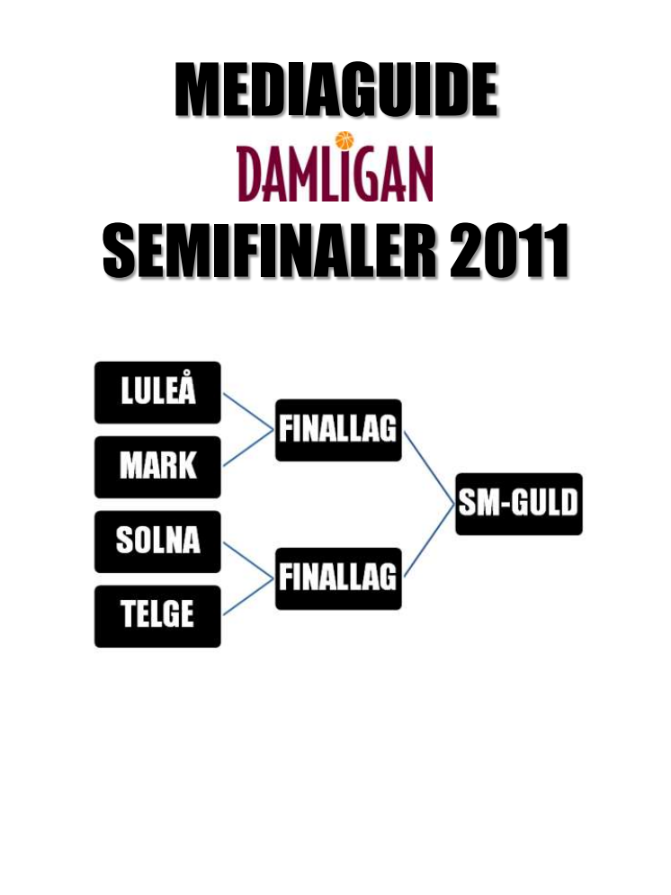 Mediaguide: Damligans slutspel 2011