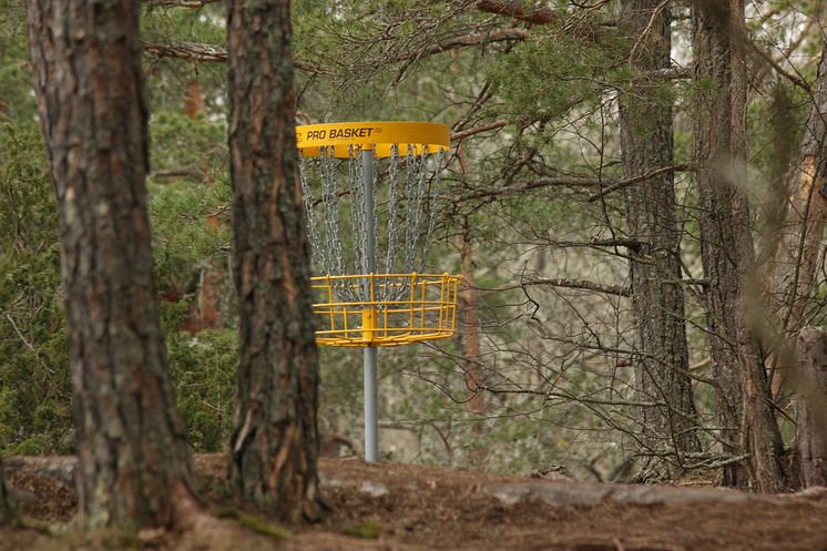 discgolf