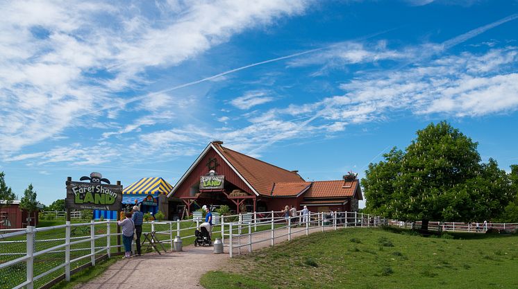 Fåret Shaun Land i Skånes Djurpark