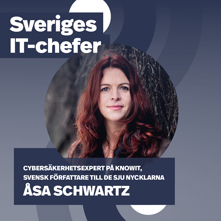 Åsa Schwartz – "Sveriges IT-chefer"