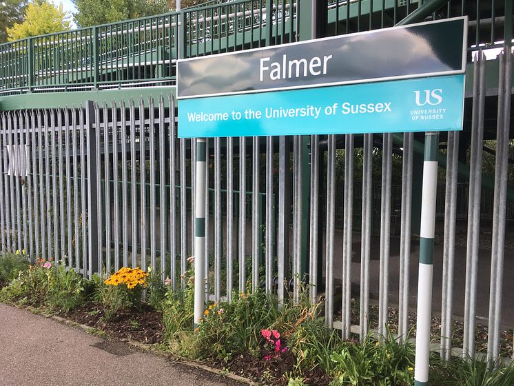 Falmer station planting