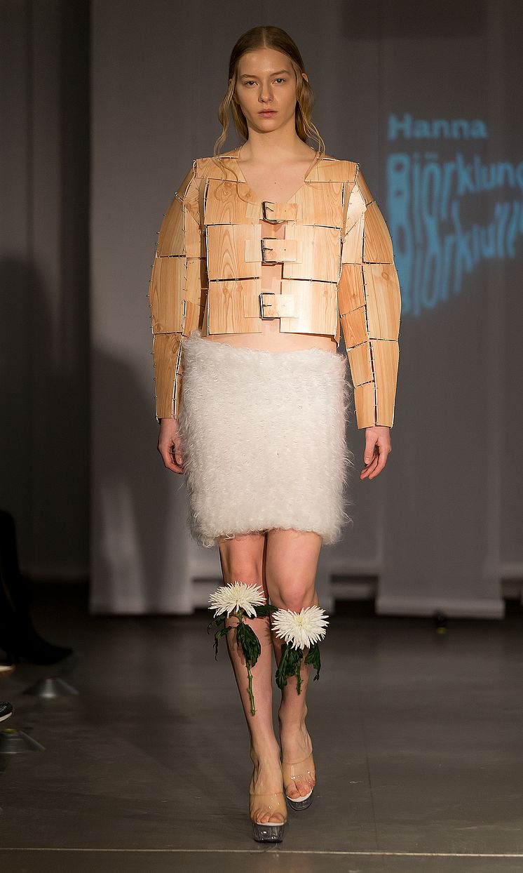 Hanna Björklund Olsson - The Forcing of Nature
