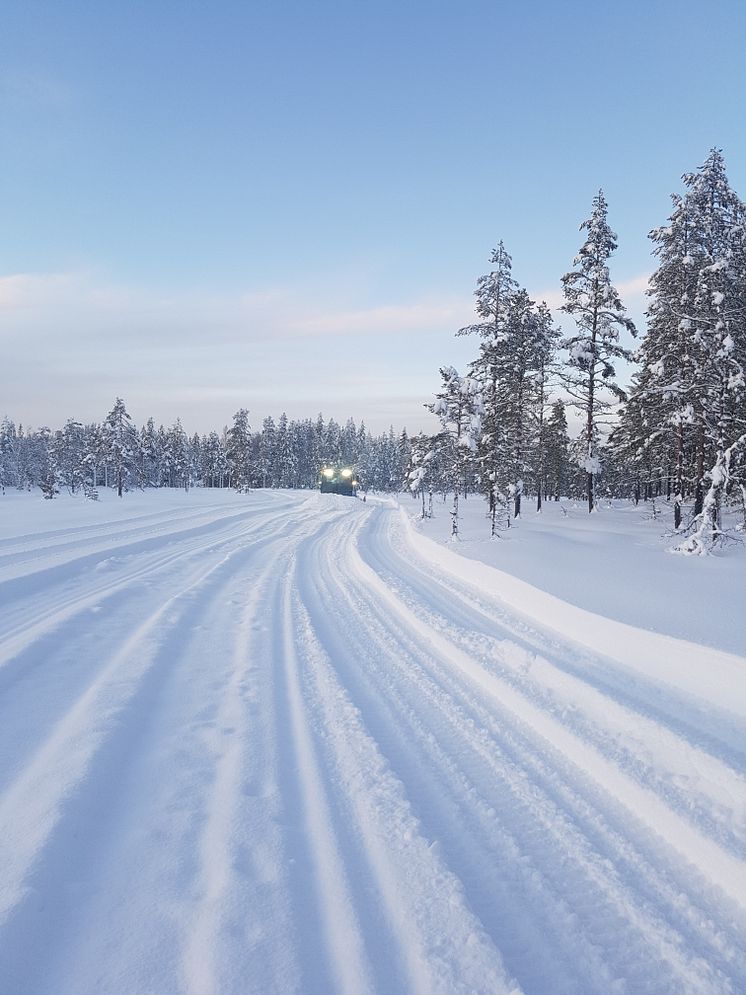 Natursnö i Vasaloppsarenan  11 januari 2018