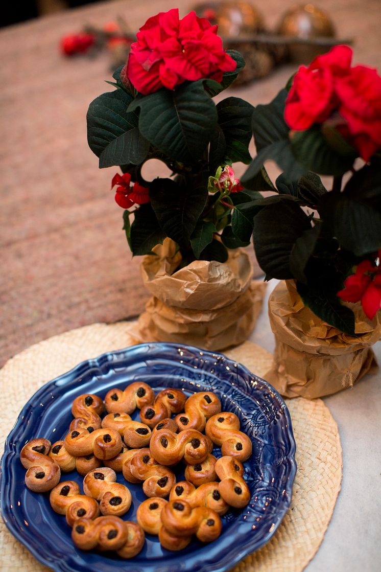 Lussekatter och julstjärnor.