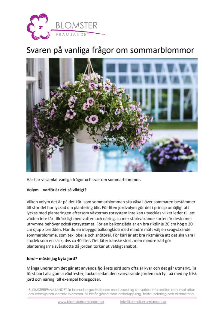 Svaren på vanliga frågor om sommarblommor