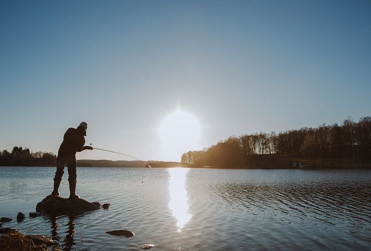 fritidsfiske-solnedgang--natalie-greppi